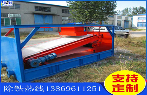 强磁茄子在线免费视频，威海高强磁茄子在线免费视频型号_威海高强磁茄子在线免费视频型号分选运行视频 